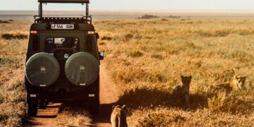 Safaris y Aventuras en la Vida Silvestre