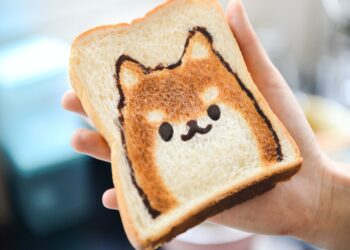 Un Brindis a la Historia: Los Orígenes del Pan Francés