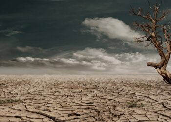 La Economía del Cambio Climático: Comprendiendo Costos y Explorando Soluciones