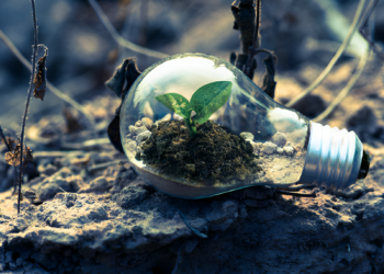 Conduciendo la Sostenibilidad: Iniciativas de la Economía Verde Moldeando el Futuro