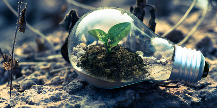 Conduciendo la Sostenibilidad: Iniciativas de la Economía Verde Moldeando el Futuro