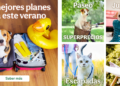 Tiendanimal.es: La Pasión Española por el Cuidado de sus Mascotas