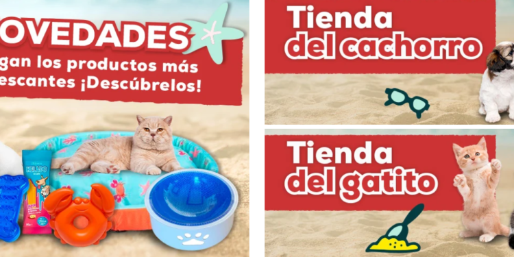 Kiwoko.com: La tienda favorita de los españoles para sus mascotas