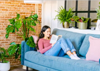 Plantas y decoración que transforman espacios: Be.Green