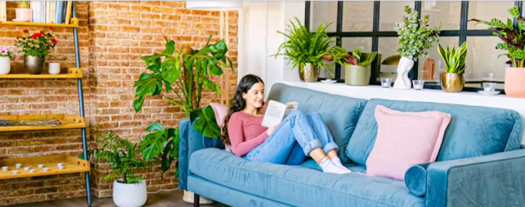 Plantas y decoración que transforman espacios: Be.Green