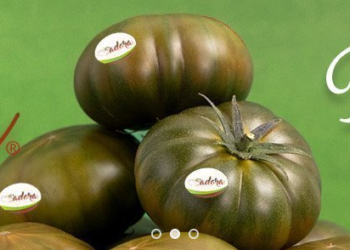 Un sabor inconfundible: Granada La Palma