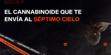 Golden High: La marca que eleva el estilo y el confort