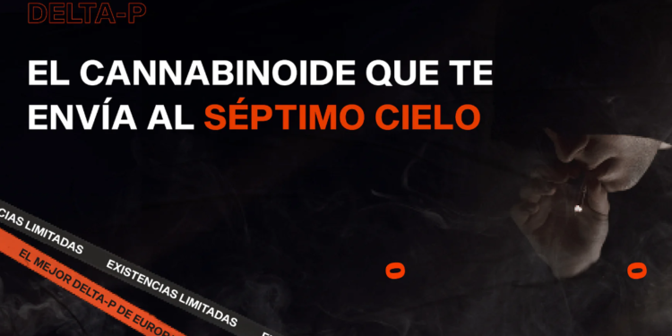 Golden High: La marca que eleva el estilo y el confort