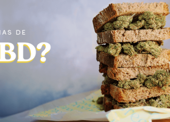 Greenery 420 CBD: Productos de calidad para una vida más saludable