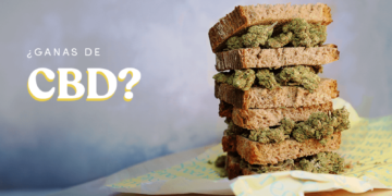 Greenery 420 CBD: Productos de calidad para una vida más saludable