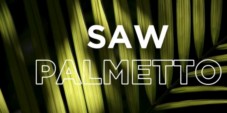 VipeLin: La Solución Perfecta para la Logística y la Entrega Rápida