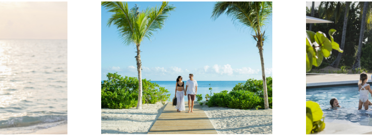 The Excellence Collection: Lujo y Confort en Cada Detalle