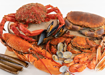 MARISCOS LAXE DE RONS – Un referente del mar gallego con sabor auténtico