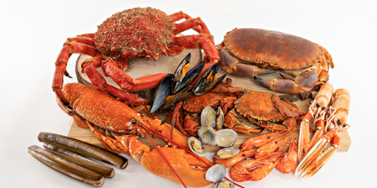 MARISCOS LAXE DE RONS – Un referente del mar gallego con sabor auténtico