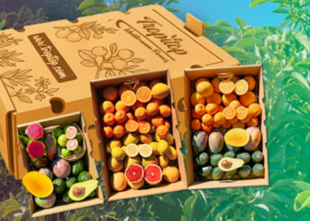 Tropitop – Una propuesta centrada en productos frescos y experiencias gastronómicas del mar