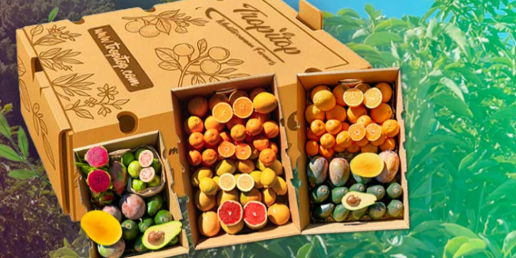 Tropitop – Una propuesta centrada en productos frescos y experiencias gastronómicas del mar